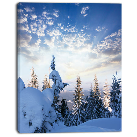 Foggy White Winter Forest - Landscape Print Wall Art