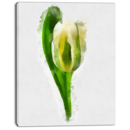 White Tulip with Green Leaves - Large Floral Canvas Artwork