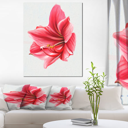 Big Red Flower Sketch on White - Large Floral Canvas Artwork