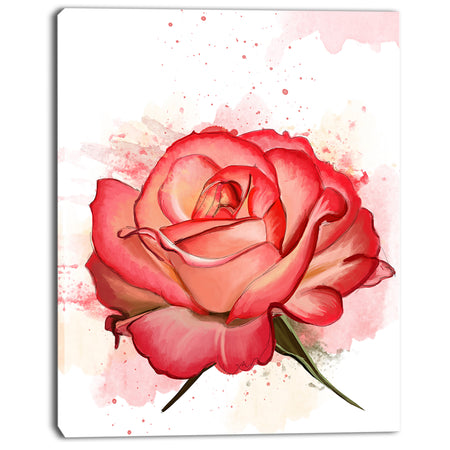 Red Rose Illustration with Splashes - Extra Large Floral Canvas Art