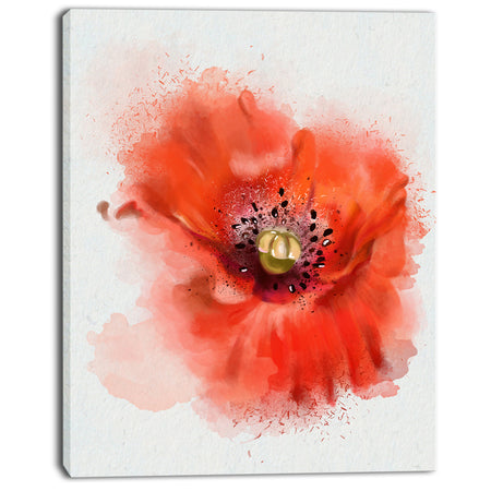 Stylish Red Watercolor Poppy Flower - Floral Canvas Artwork Print