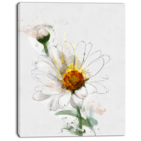 Hand-drawn Watercolor Chamomile - Floral Canvas Artwork Print