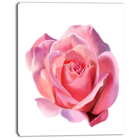 Pink Rose Sketch on White Background - Flowers Canvas Wall Artwork