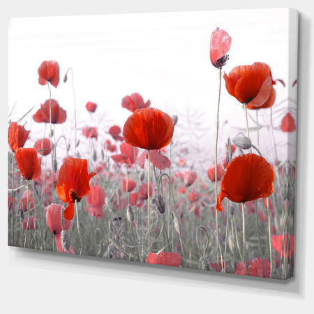 Amazing Red Poppy Flower Garden - Flower Artwork on Canvas