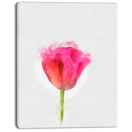 Bloomy Pink Tulip on White Drawing - Flower Artwork on Canvas