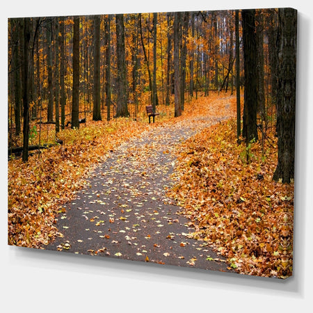Autumn Walk Way with Fallen Leaves - Modern Forest Canvas Art