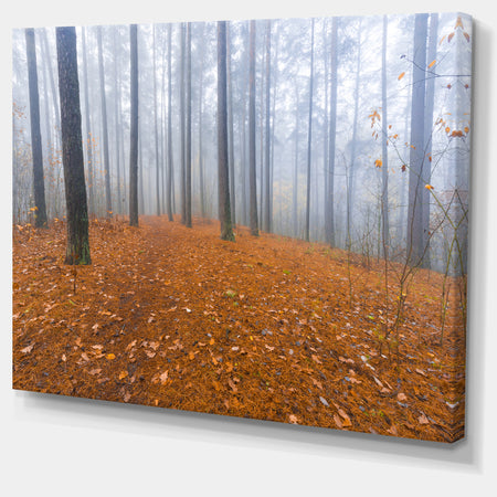 Foggy Forest and Fallen Leaves - Modern Forest Canvas Art