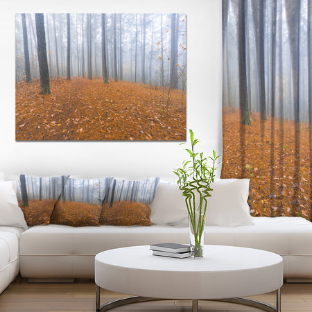 Foggy Forest and Fallen Leaves - Modern Forest Canvas Art