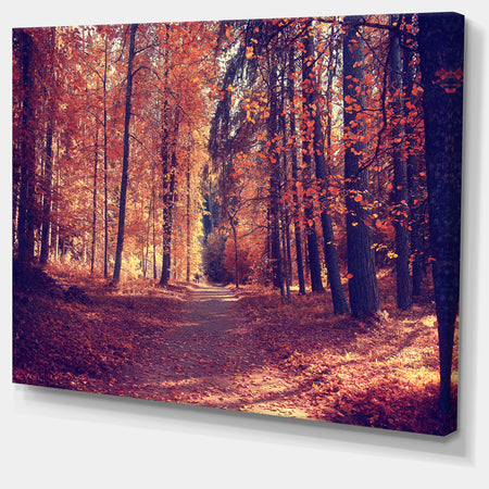 Thick Woods in Colorful Fall Forest - Modern Forest Canvas Art