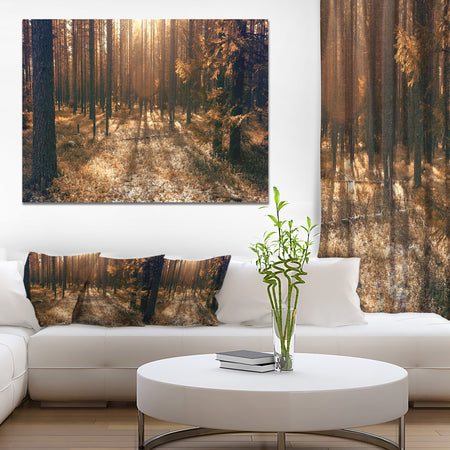 Dark First Snow Forest Photo - Modern Forest Canvas Art