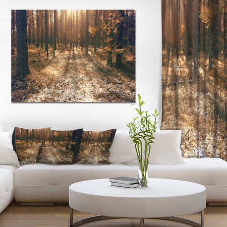 Road in Dark Wooded Forest - Modern Forest Canvas Art