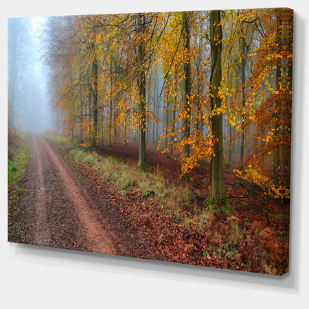 Raising Sun in Fall Forest Panorama - Large Forest Canvas Art