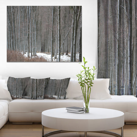 Winter Forest with Thick Trees - Large Forest Canvas Art
