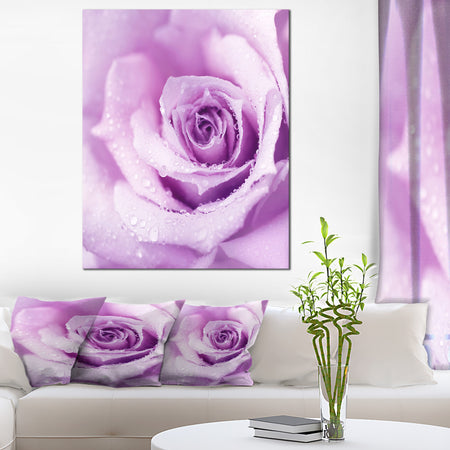 Purple Wet Rose Background - Flowers Canvas Wall Artwork