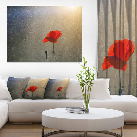 Lone Red Puppy Flower under Lights - Flowers Canvas Wall Artwork