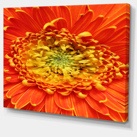 Beautiful Gerbera Flower In Brig - Modern Floral Wall Artwork