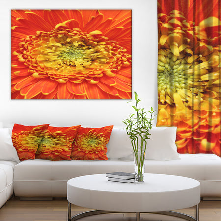 Beautiful Gerbera Flower In Brig - Modern Floral Wall Artwork
