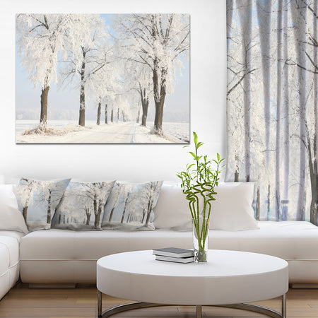 Winter Lane on Sunny Morning - Modern Forest Canvas Wall Artwork
