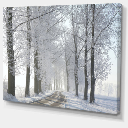 Winter Rural Road in the Morning - Large Forest Artwork Canvas