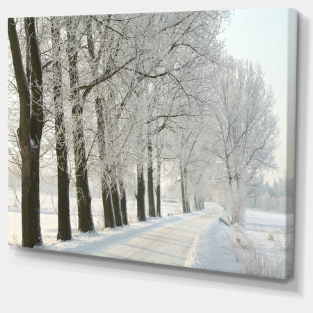 Winter Rural Road at Sunrise - Large Forest Artwork Canvas