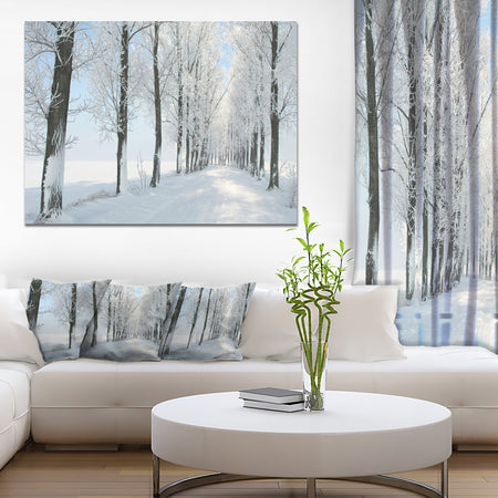 Beautiful Winter Forest Lane Photo - Large Forest Artwork Canvas