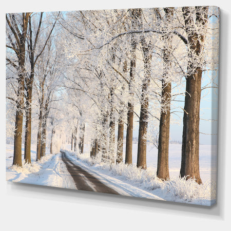 Beautiful Winter Lane at Morning - Large Forest Artwork Canvas