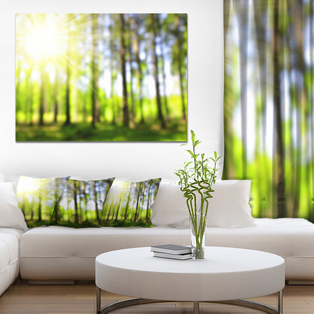 Green Bokeh in the Forest - Landscape Wall Art on Canvas