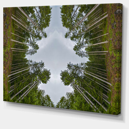 Circle Composition of Coniferous Trees - Landscape Wall Art on Canvas