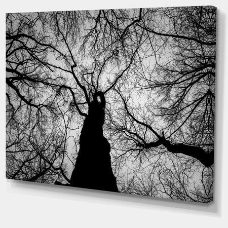 Hoto of Winter Branches - Landscape Wall Art on Canvas