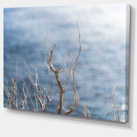 Leafless Winter Branches - Landscape Wall Art on Canvas