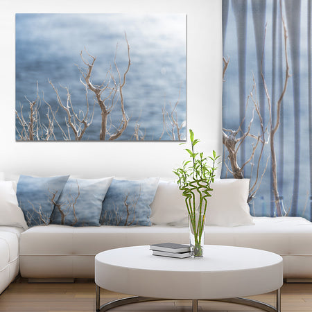 Leafless Winter Branches - Landscape Wall Art on Canvas