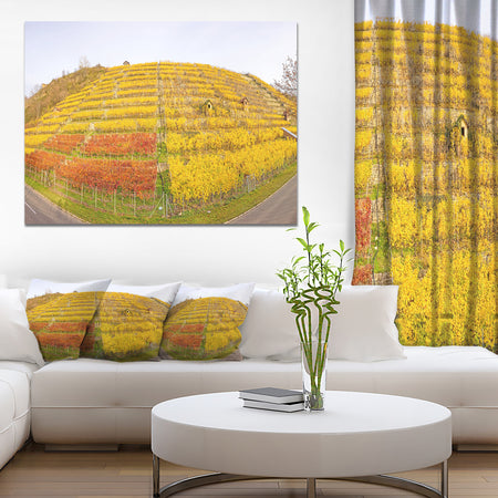 Vineyard Panorama in Autumn - Modern Landscpae Wall Art