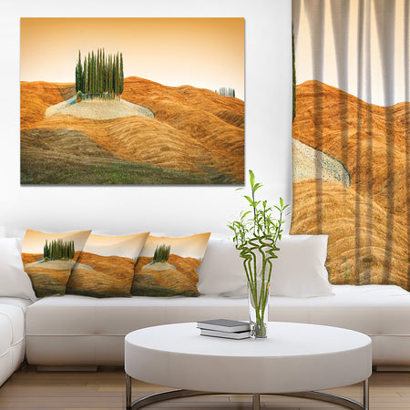 Cypress Grove Panorama - Landscape Canvas Wall Artwork
