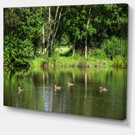 Bushes and Trees in River Bank - Landscape Canvas Wall Artwork