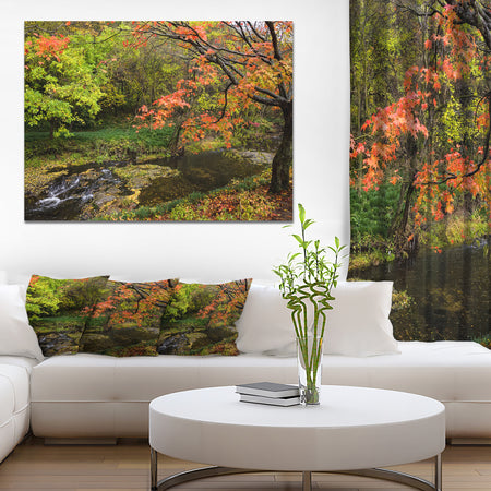 Fall Trees in Bright Colors - Landscape Canvas Wall Artwork