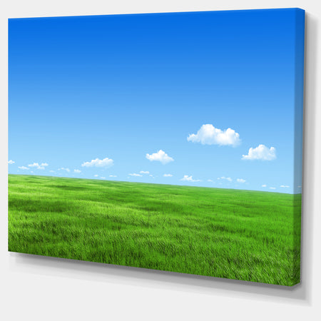 Green Meadow and Blue Sky - Landscape Wall Artwork