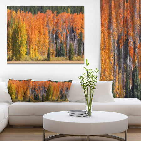 Fall Trees Panorama - Landscape Wall Artwork