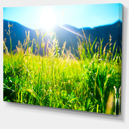 Beautiful Green Nature Wonder - Landscape Wall Artwork