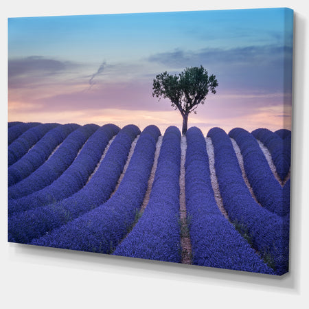 Lonely Trees Uphill on Sunset - Landscape Wall Artwork