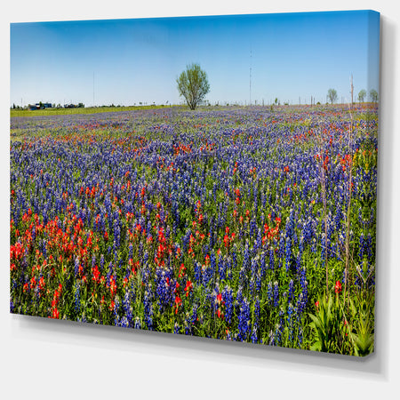 Floral Art - Landscape Wall Artwork