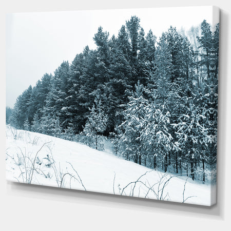 Dark Winter Trees - Landscape Wall Artwork