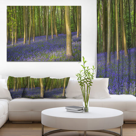 Bluebell Woods in Oxfordshire - Extra Large Landscape Canvas Art Print