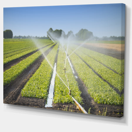 Beautiful View of Crops Watering - Extra Large Landscape Canvas Art Print
