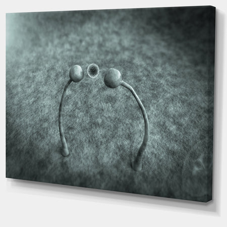 Fungus on Leather Surface - Extra Large Landscape Canvas Art Print