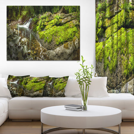 Creek Moss and Rocks Panorama - Extra Large Landscape Canvas Art Print