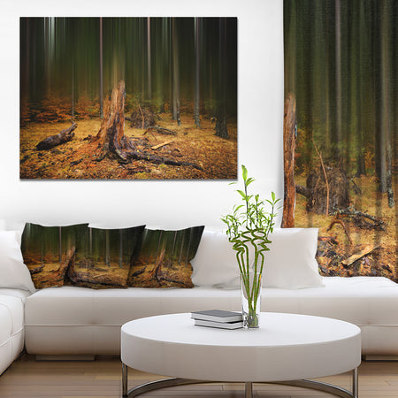 Dark Fall Forest on Foggy Morning - Large Landscape Canvas Art Print
