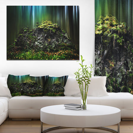 Dark Forest on Snowy Morning - Large Landscape Canvas Art Print