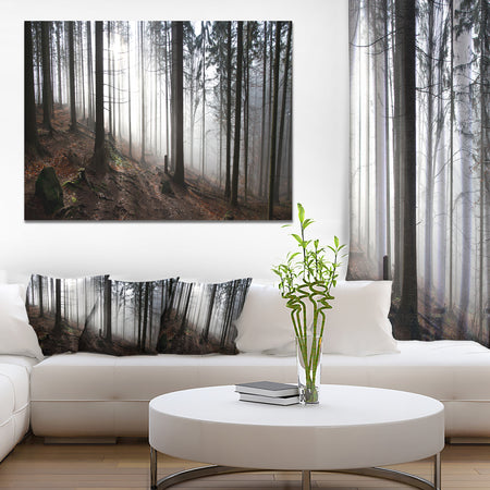 Misty Forest Morning Panorama - Large Landscape Canvas Art Print