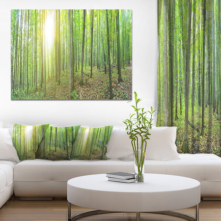 Thick Green Forest Panorama - Large Landscape Canvas Art Print