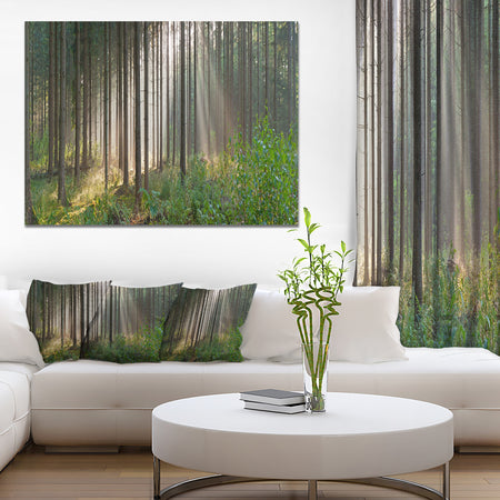 Green Forest in Mist Panorama - Extra Large Landscape Canvas Art Print